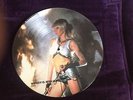 Rare Wendy O.Williams WOW Lp Picture Disc Ltd Ed w/ Kiss vinyl Punk 12