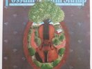 POSSUM UP A GUM SUMP: Bluegrass ALABAMA FIDDLERS PAST & PRESENT private LP