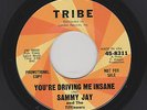Sammy Jay - You're Driving Me Insane / Never Let Me Go (Soul, 45)