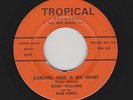 Bobby Williams - Darling Here Is My Heart / All The Time (Soul/Funk, 45)