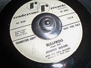 WILD TITTYSHAKER INSTRO 45  - JOHNNY MOORE - BULLFROG