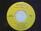 THE CHANTELLS (RARE** 1964 GARAGE ROCKERS)   I THOUGHT YOU WOULD   PRIVATE PRESS