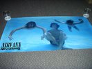 Nirvana - Nevermind Very Rare Original Promo Poster 1992