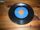 sting rays shaggy dog the cat 45 record garage rock pop psyche mn welhaven 8852
