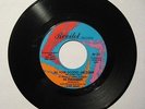 RARE NORTHERN SOUL 45  THE PARLIAMENTS  ALL YOUR GOODIES ARE GONE  REVILOT  VG++