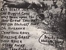 LP Abner Jay The Backbone of America Is a Mule / Brandie Records Mono NM-/VG