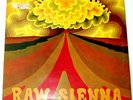SAVOY BROWN BLUES BAND - RAW SIENNA
