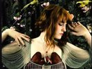 FLORENCE & The MACHINE Lungs LP Vinyl BRAND NEW
