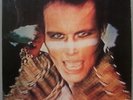 ADAM AND THE ANTS - 