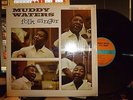 MUDDY WATERS 