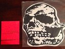 Orchid / Jeromes Dream Skull 10