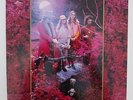 CAPTAIN BEEFHEART MAGIC BAND   GROW FINS   2 LP SET   INSERT    STUNNING COPY 