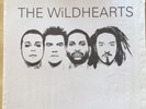 The Wildhearts The Wildhearts LP White Vinyl In Mint Condition Plus Insert