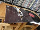 TEAR GAS SELF TITLED ORIGINAL VINYL ALBUM ( EX ALEX HARVEY BAND ) MINT