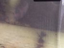 Sun Kil Moon Third And Seneca Rare GOLD Vinyl 10