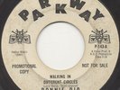 GARAGE/PSYCH 45 Ronnie Dio & the Prophets Walking in Different Circles LISTEN
