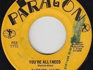 Roots Reggae 45 - Patrick Alley & King Tubby - You're All I Need - Paragon - mp3