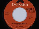 70s Soul Funk 45 NEW WORLD We're Gonna Make It POLYDOR VINYL HEAR