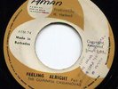 ISLAND PSYCH FUNK SOUL BREAKS - GUINNESS CASSANOVAS - FEELING ALRIGHT - ATMAN