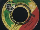 1465 G MURPHY-THE FACTS OF LIFE-DESTINY-1976- RARE-REGGAE 45 7