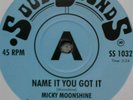 Chapter Five -You Can't Mean It/Micky Moonshine-Name It You Got It-Northern soul