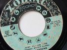 RUBY ANDREWS-JUST LOVING YOU /THE LOVE I NEED-NORTHERN 45 on ZODIAC
