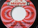 MARVIN SMITH-WHO WILL DO YOUR RUNNING NOW /YOU'RE REALLY SOMETHING SADIE-NORTHER
