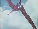FREE TONS OF SOBS LP 1969 ISLAND PALM TREE LABEL GATEFOLD SLEEVE
