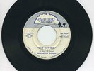 BURLINGTON EXPRESS   One Day Girl   Kansas garage/fuzz 45   CAVERN $