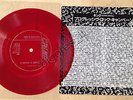 IL GIARDINO DEI SEMPLICI Dopo un rock'n'roll FLEXI SINGLE JAPAN promo ottimo
