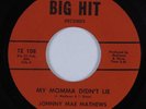 Funk/Deep Soul 45 JOHNNY MAE MATHEWS My Momma Didn't Lie BIG HIT VG++ HEAR