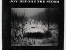 JOY BEFORE THE STORM 