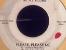 Beatles - Please Please Me - VJ - Vee Jay 581 - White label VG-