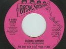 Northern Soul - Charles Diamond & Inspirations - No One Can Take Your Place - US