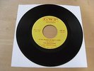 THE HESITATIONS Is This The Way To Treat A Girl 45 crossover northern soul gwp