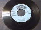 THE SKEPTICS Apple Candy/Ride Child 1966 Oklahoma garage rock punk 45 Kampus 814
