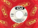 Mecca 70's Bootleg, Anderson Brothers, I Can See Him Loving You, GSF Demo 1974.