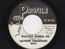 '61 Rocker/Rockaballad HAYDEN THOMPSON Watcha Gonna Do/Summer's Over M- HEAR