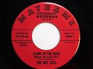 DEE CALS 45 Stars in the blue / Wonderful day MAYHAMS  Doowop w2844