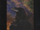Stranglers The Raven - 3-D Sleeve vinyl LP album record UK UAG30262