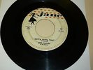 ROCKABILLY 45 RPM RECORD - GENE SUMMERS & HIS REBELS - JANE 102