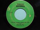 GUITAR RAY 45 You're Gonna Wreck My Life SHAGG rare New Orleans xover soul HEAR