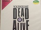 DEAD OR ALIVE/Pete Burns YOUTHQUAKE Album/LP Japanese Picture Disc with OBI