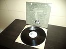 RUDIMENTARY PENI  Vinyl LP  