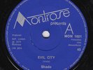 SHADO Evil City ** private press UK METAL 45 nwobhm proto punk HEAR