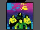 Blind Ravage [Vinyl New]