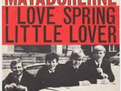 MATADORERNE Little Lover RARE danish garage M- 45 FRANTIC mod dancer Denmark 45