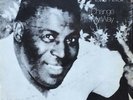 Howlin Wolf: Change My Way-1975 Chess 1st Edition 33 RPM Stereo 12