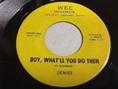 Denise and Co. RARE GARAGE FUZZ PSYCH 45 Boy What'll You Do Then / Chaos WEE Lbl