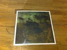 Red River Dialect awellupontheway Vinyl LP Waterboys